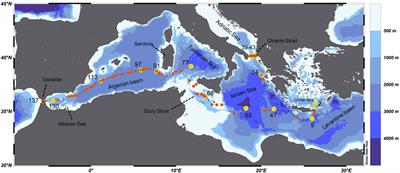Optical Properties and Biochemical Indices of Marine Particles in the Open Mediterranean Sea: The R/V Maria S. Merian Cruise, March 2018